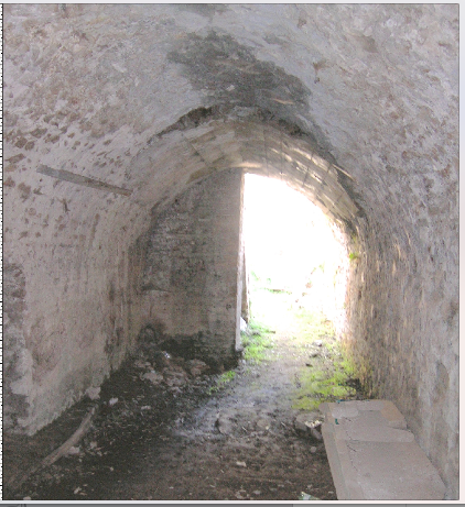 1-TG CRIPTOPORTICO.png