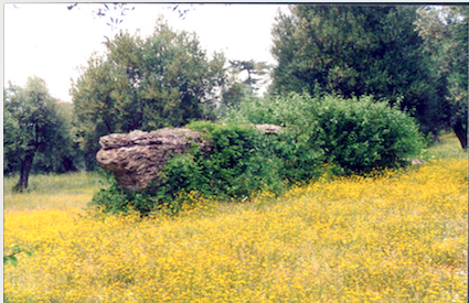 ACQ 1 PNG COLLEONI .png