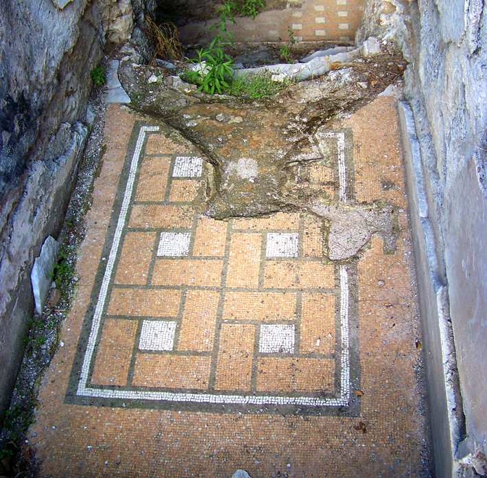 Schermata 2023-03-16 alle 17.56.01.png